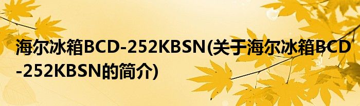 海尔冰箱BCD-252KBSN(合于海尔冰箱B高德娱乐CD-252KBSN的简介)(图1)